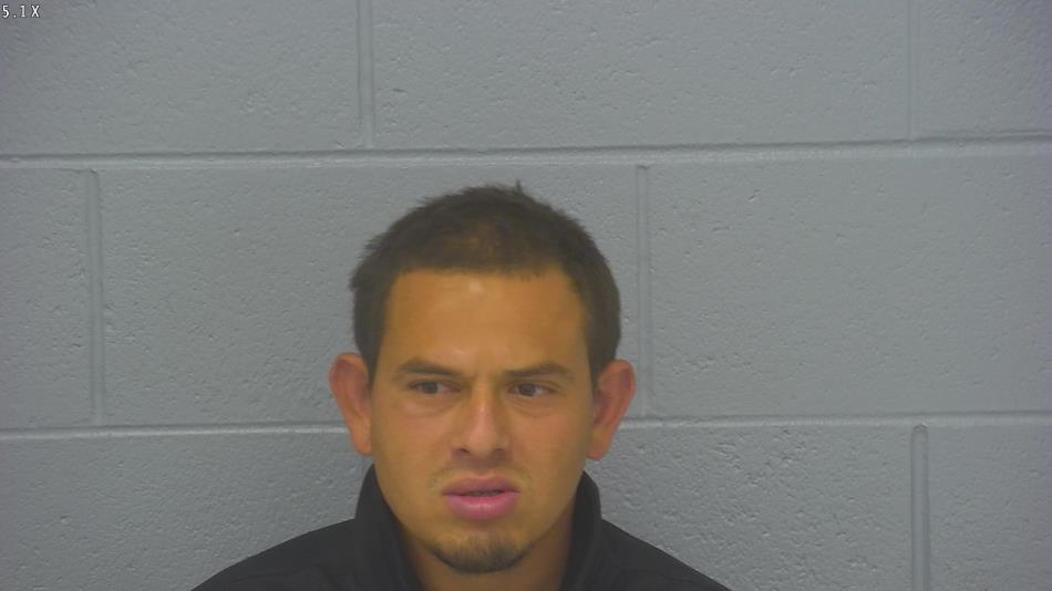 Arrest photo of DENIS LOPEZ-NATAREN