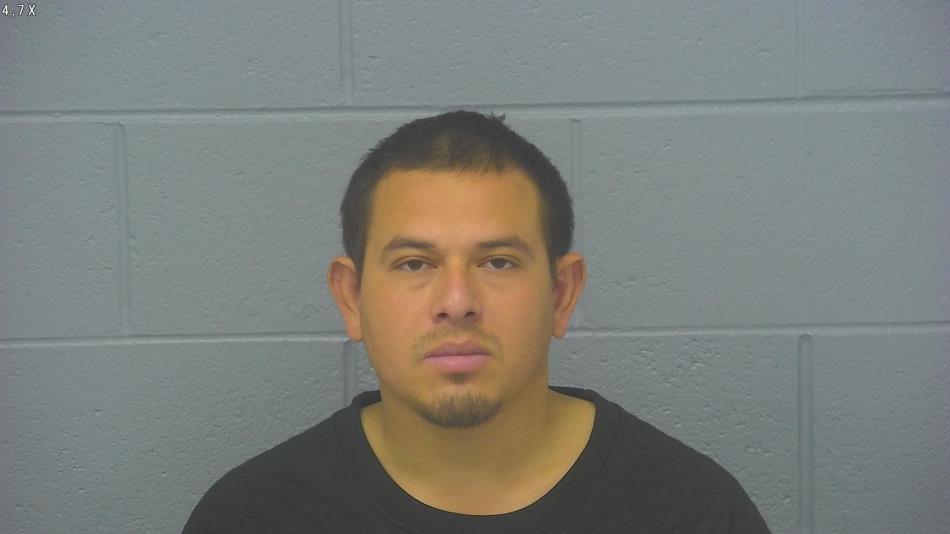 Arrest photo of DENIS LOPEZ-NATAREN