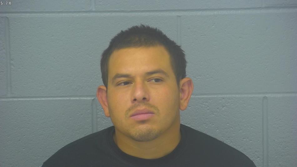 Arrest photo of DENIS LOPEZ-NATAREN