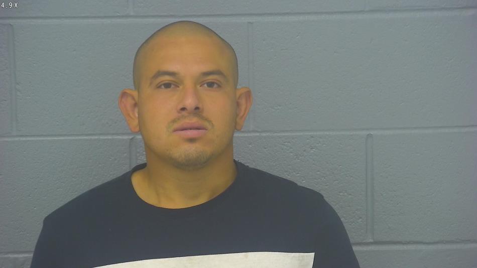 Arrest photo of DENIS LOPEZ-NATAREN