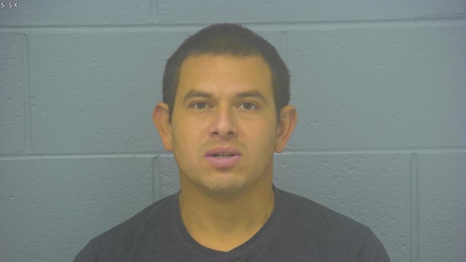 Arrest photo of DENIS LOPEZ-NATAREN