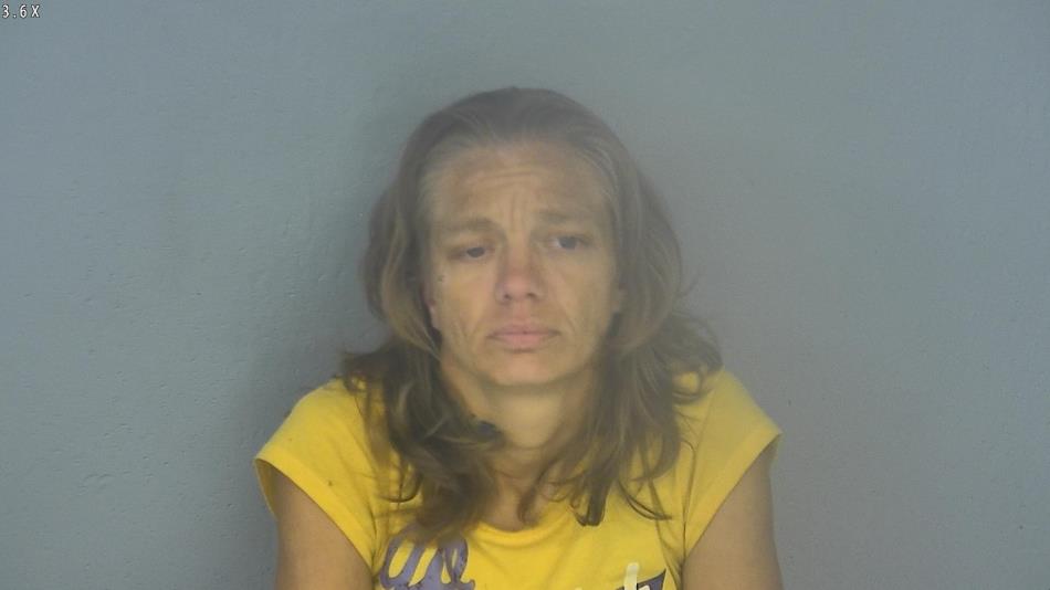 Arrest photo of DENISE MCDANNALD