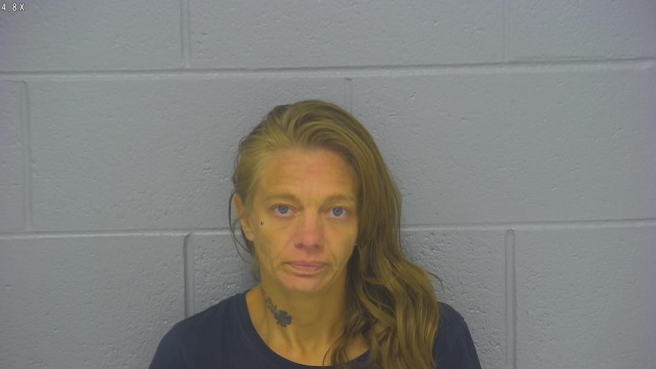 Arrest photo of DENISE MCDANNALD