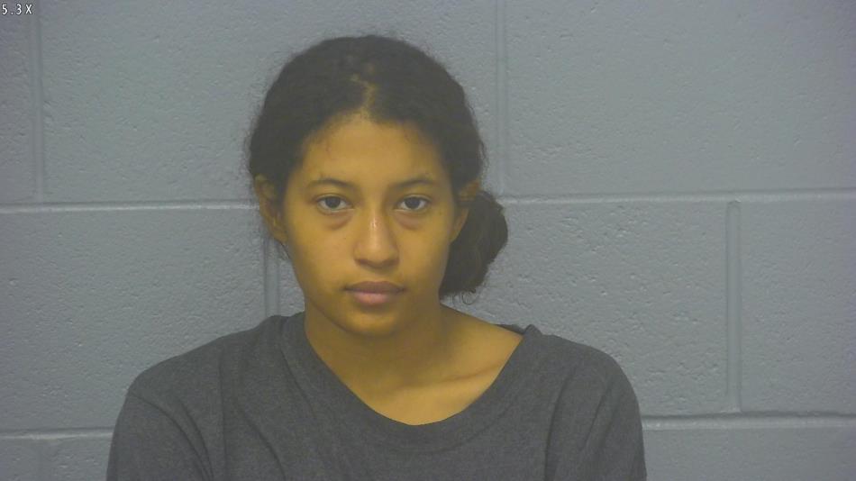 Arrest photo of DENISHA SKINNER