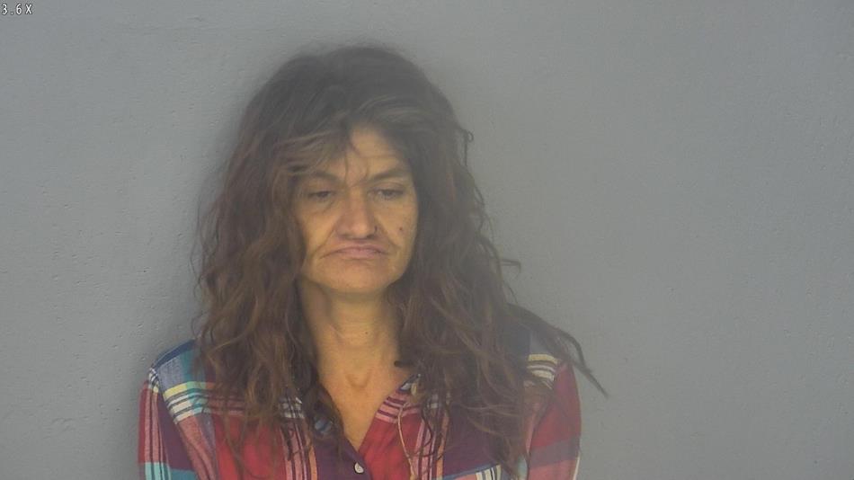 Arrest photo of DENITA BURKHOLDER-ROSS