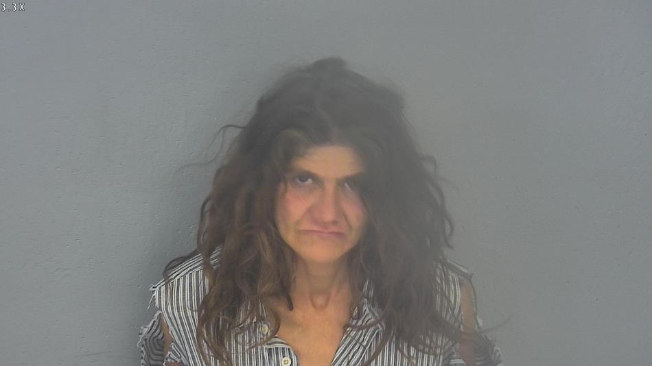 Arrest photo of DENITA BURKHOLDER-ROSS