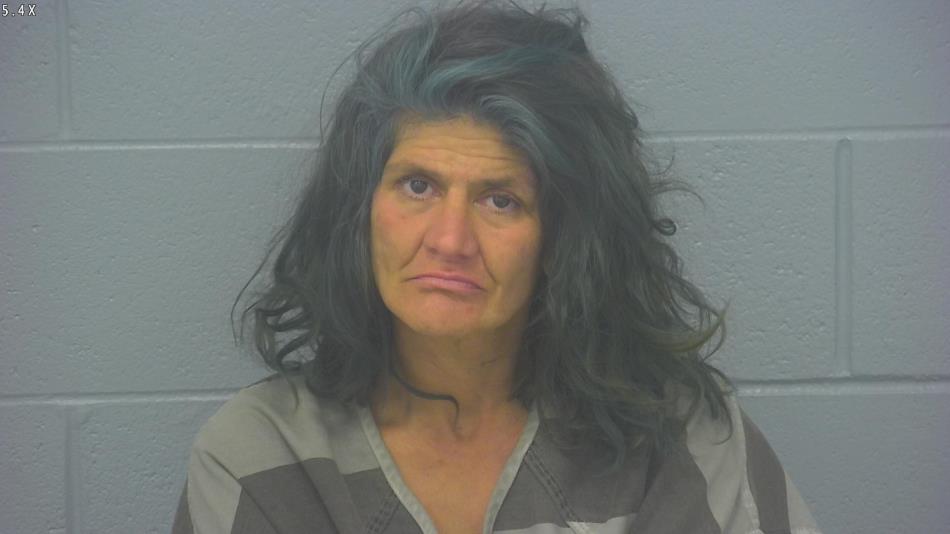 Arrest photo of DENITA BURKHOLDER-ROSS