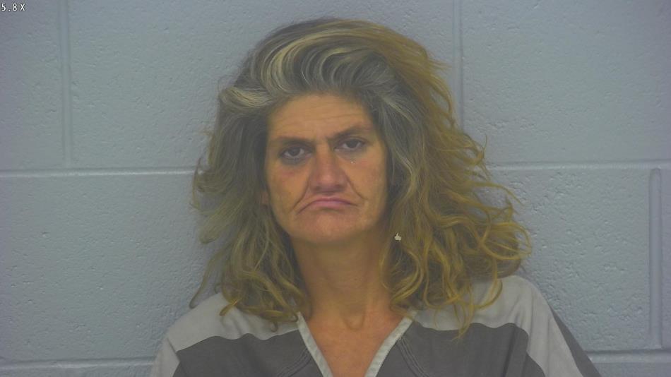 Arrest photo of DENITA BURKHOLDER-ROSS