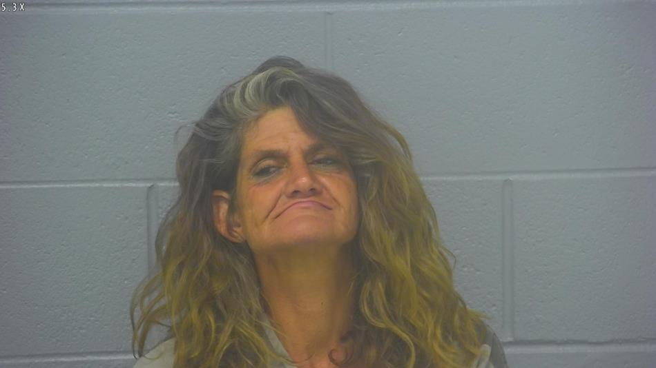 Arrest photo of DENITA BURKHOLDER-ROSS