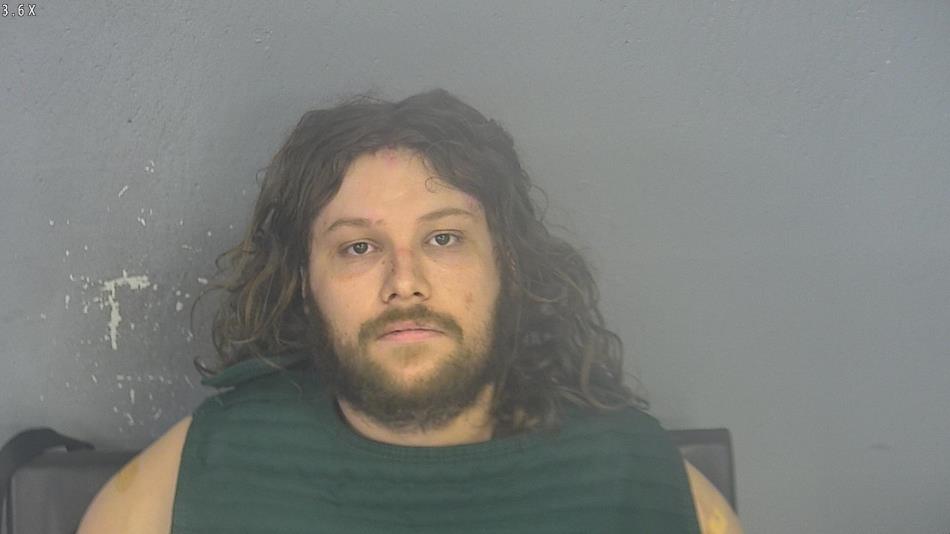 Arrest photo of DENNIS BUTTS