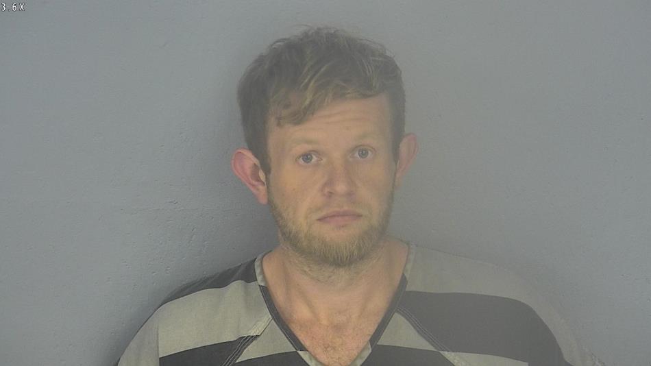 Arrest photo of DEREK BROWN