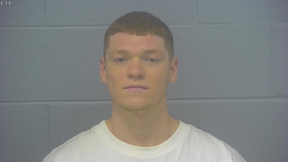 Arrest photo of DEREK COBURN