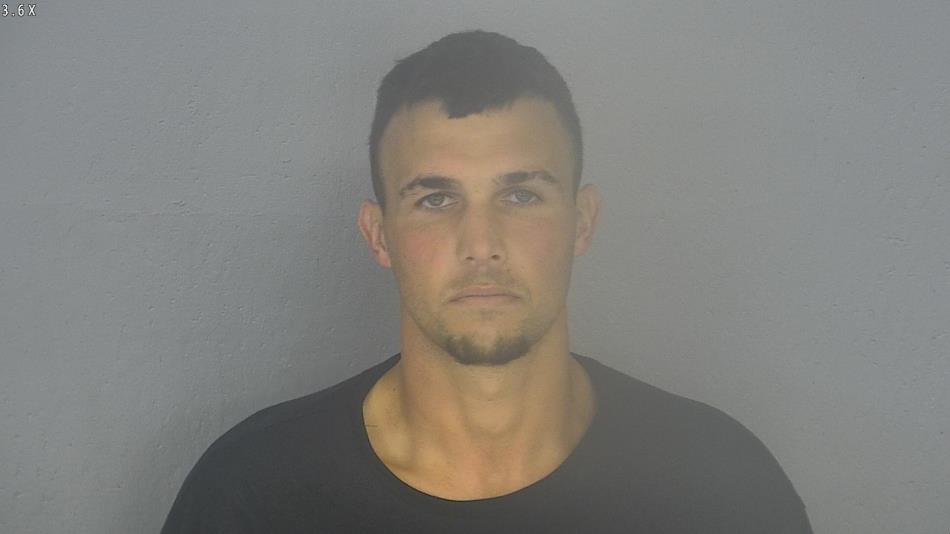 Arrest photo of DEREK LEE