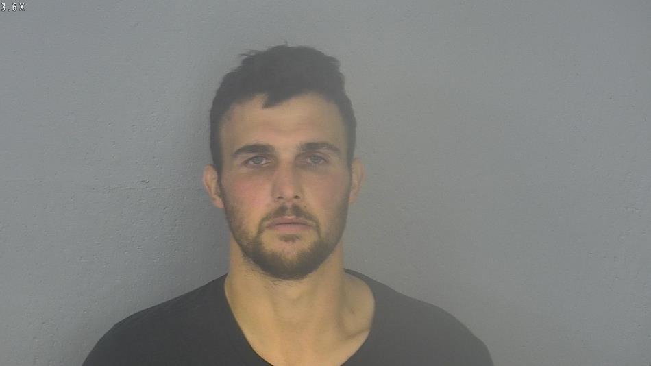 Arrest photo of DEREK LEE