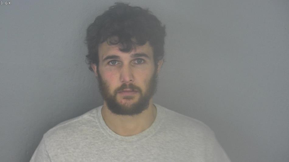Arrest photo of DEREK LEE