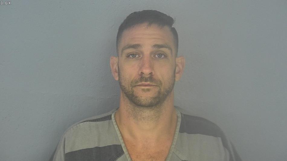 Arrest photo of DEREK WELLS