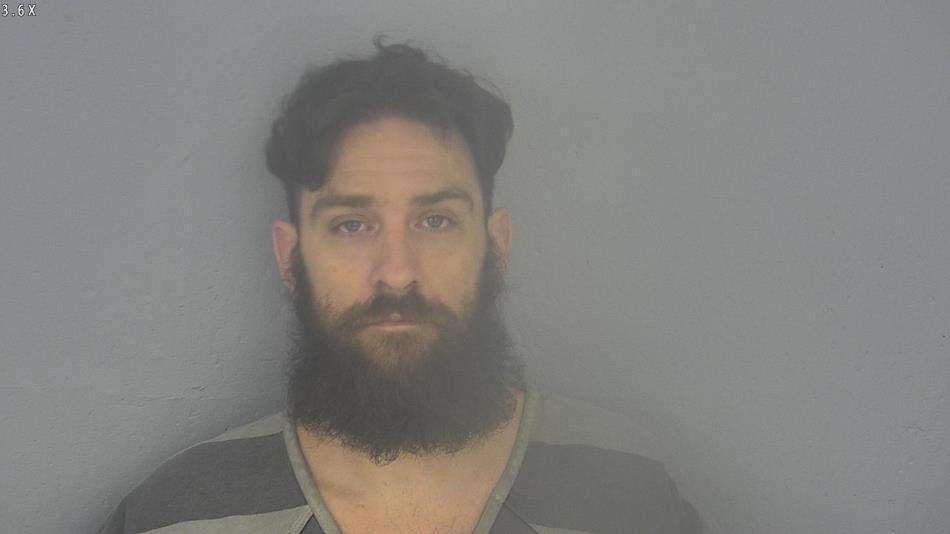 Arrest photo of DEREK WELLS