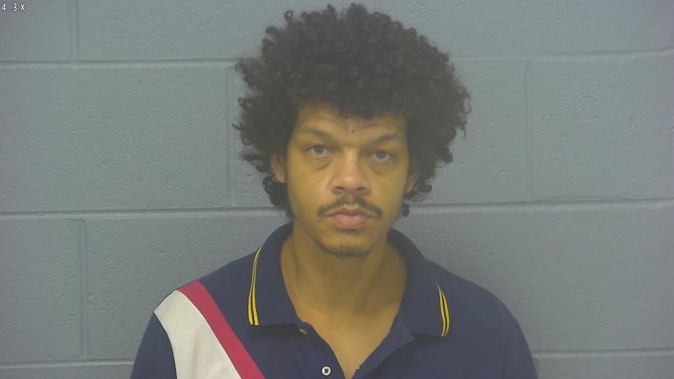 Arrest photo of DEREK WHITEHEAD