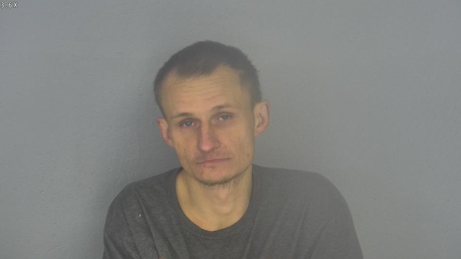 Arrest photo of DEREK WESTFALL