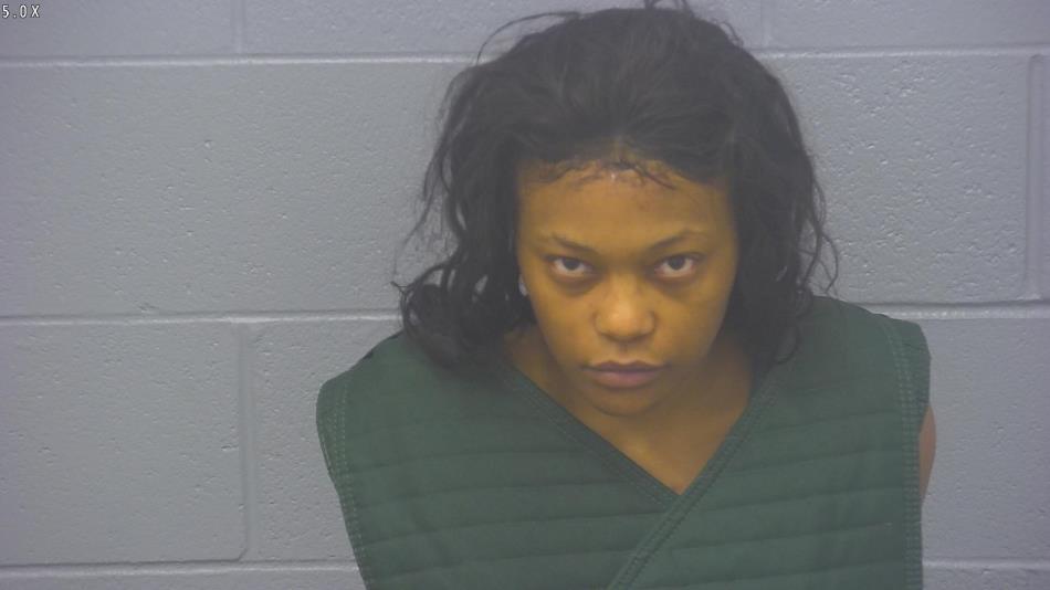 Arrest photo of DESHAUNDA WELLS