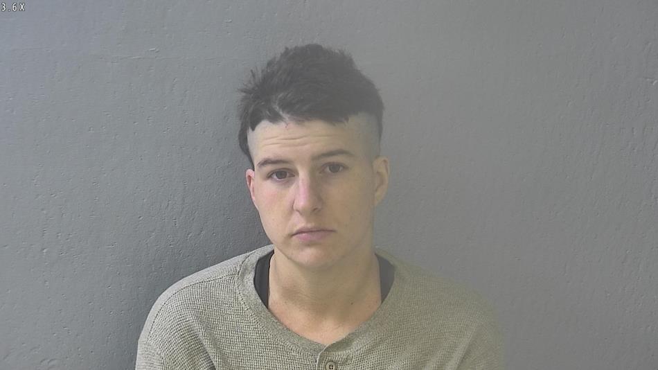 Arrest photo of DESIRE COOLEY