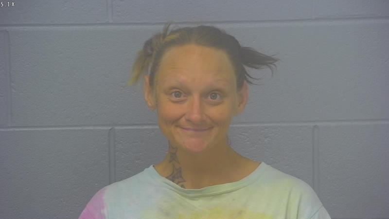 Arrest Photo of DESIREE CADY, arrested on 8/30/2025