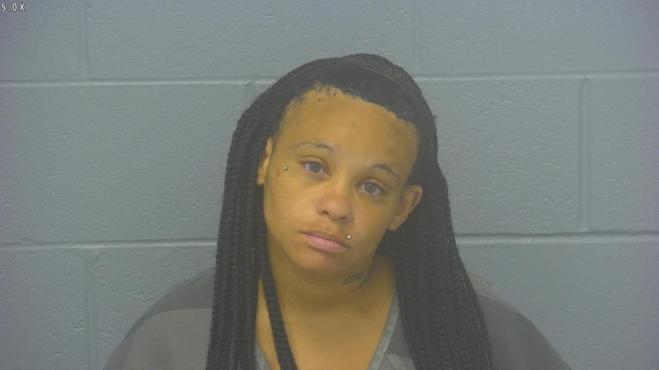 Arrest photo of DESIREE BRYANT