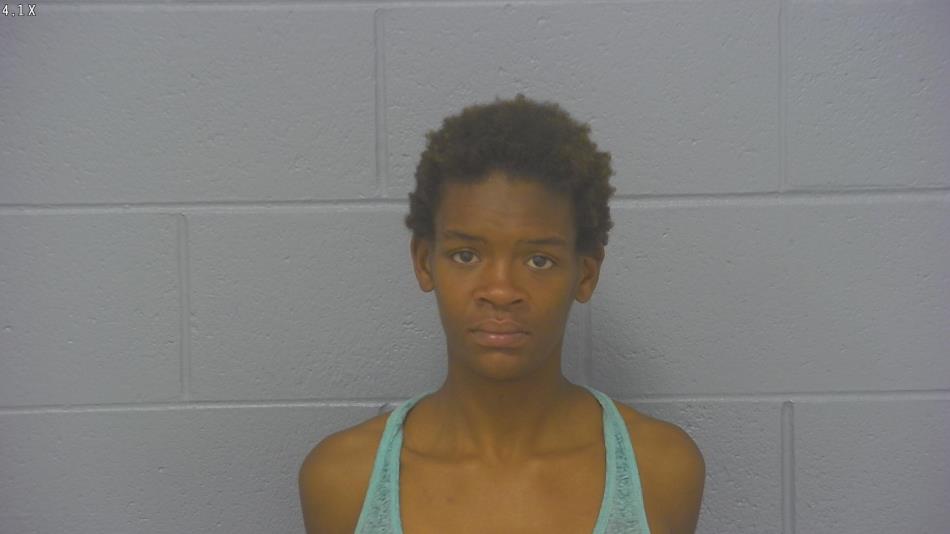 Arrest photo of DESTINEE WRIGHT