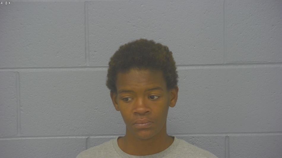 Arrest photo of DESTINEE WRIGHT