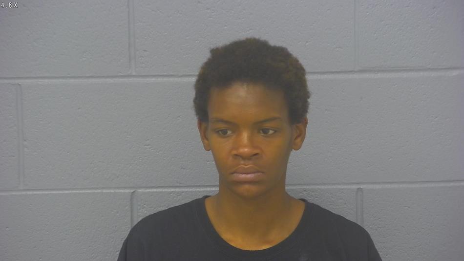 Arrest photo of DESTINEE WRIGHT