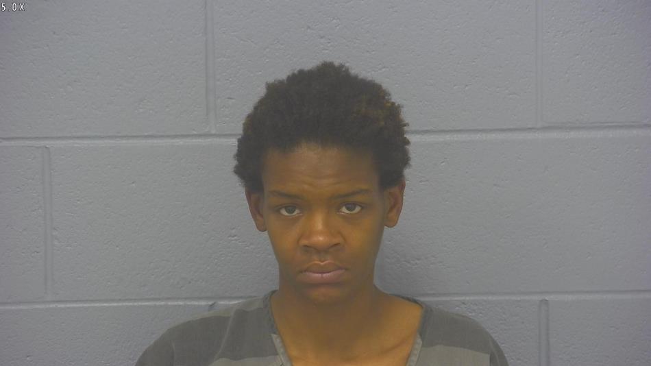 Arrest photo of DESTINEE WRIGHT