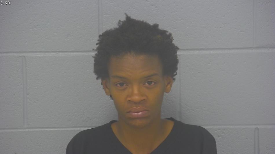 Arrest photo of DESTINEE WRIGHT