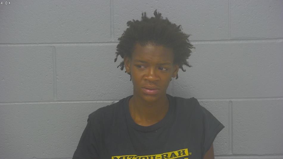 Arrest photo of DESTINEE WRIGHT