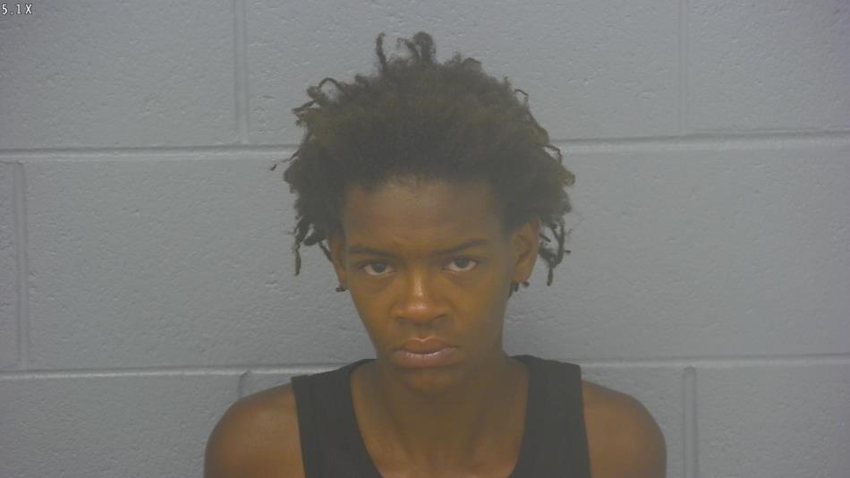 Arrest photo of DESTINEE WRIGHT