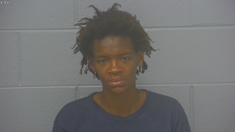 Arrest photo of DESTINEE WRIGHT