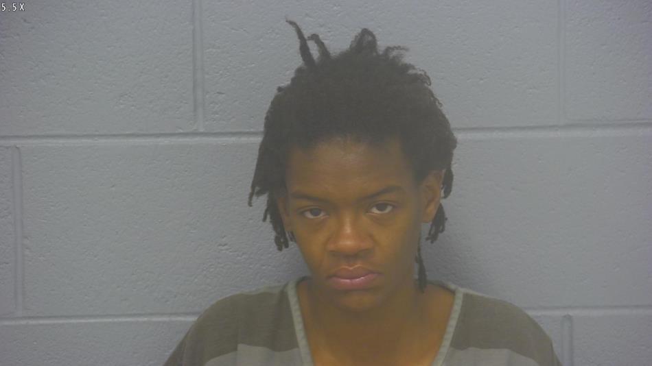 Arrest photo of DESTINEE WRIGHT