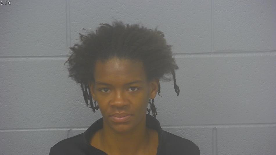 Arrest photo of DESTINEE WRIGHT