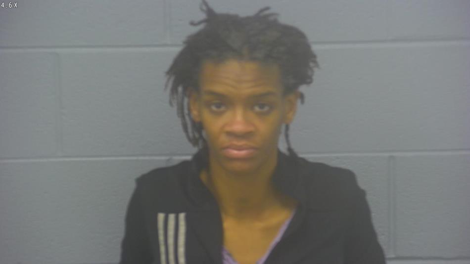 Arrest photo of DESTINEE WRIGHT