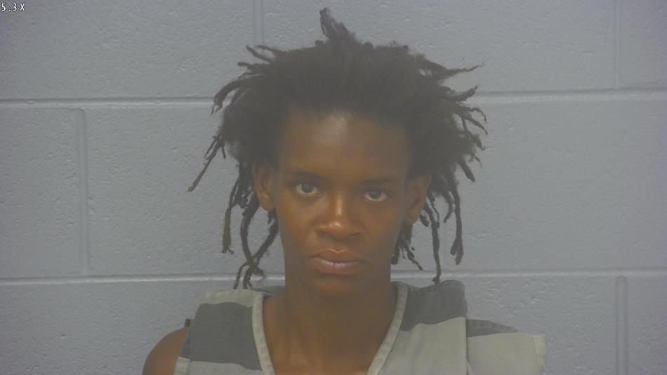 Arrest photo of DESTINEE WRIGHT