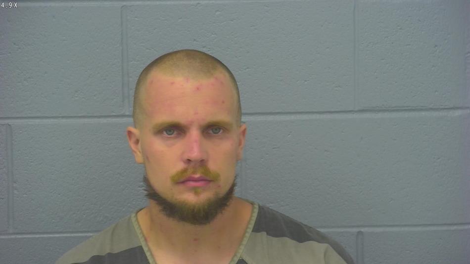 Arrest photo of DEVIN KREJCI