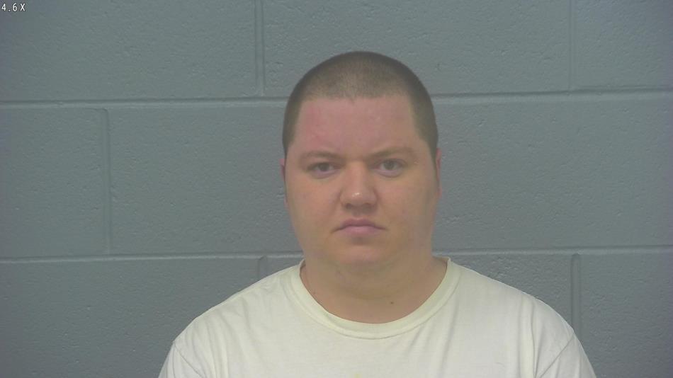 Arrest photo of DEVIN FRY