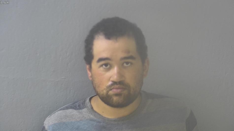 Arrest photo of DEVIN EARNHARDT