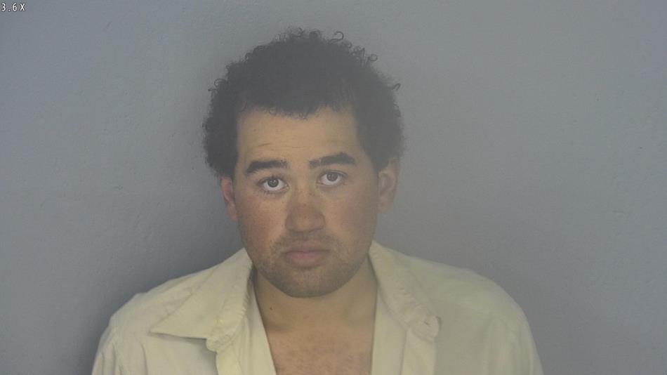 Arrest photo of DEVIN EARNHARDT