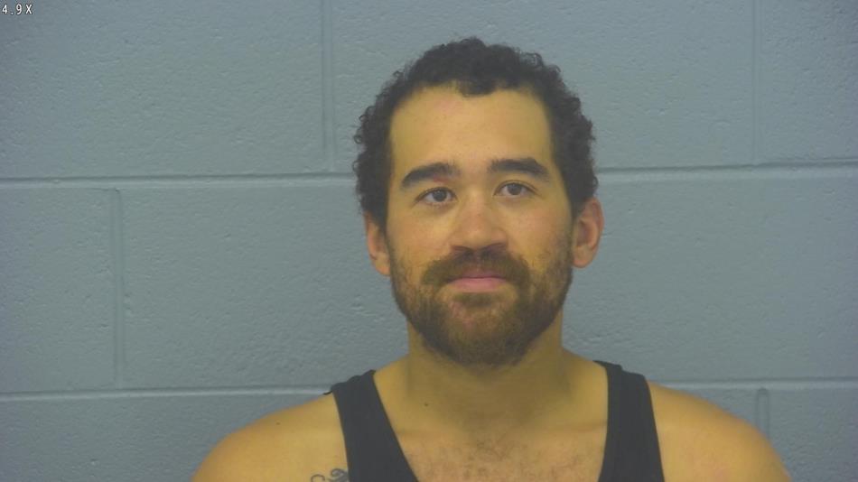 Arrest photo of DEVIN EARNHARDT