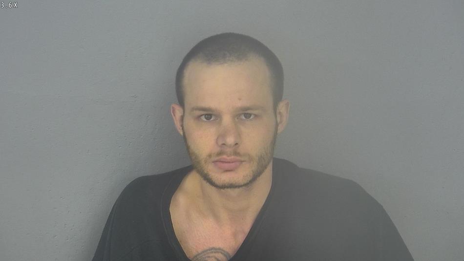 Arrest photo of DEVIN NOLAND