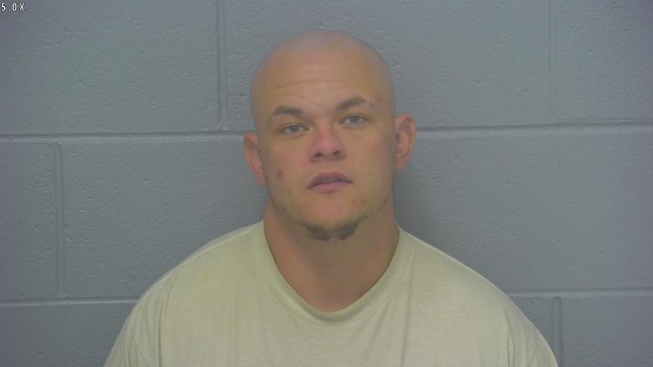 Arrest photo of DEVIN ROST
