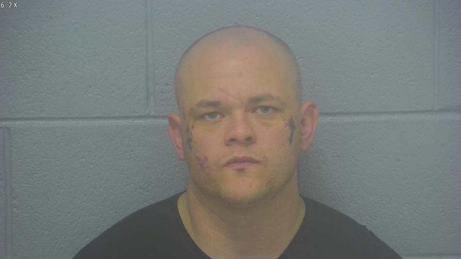 Arrest photo of DEVIN ROST