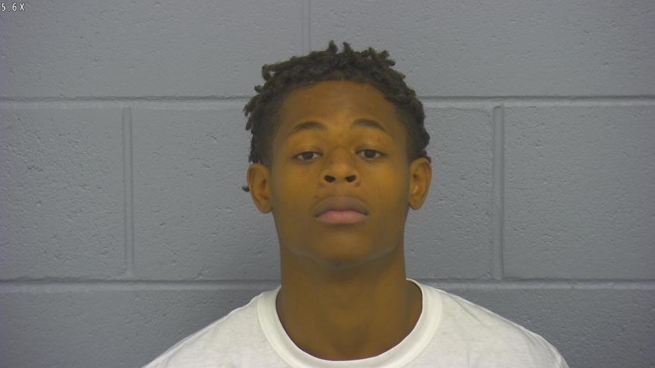 Arrest photo of DEVIN BROWN