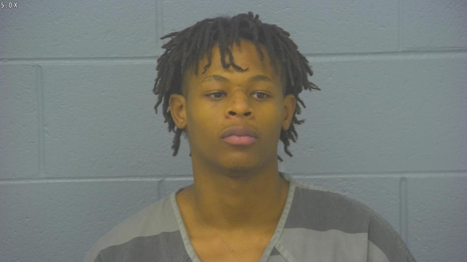 Arrest photo of DEVIN BROWN