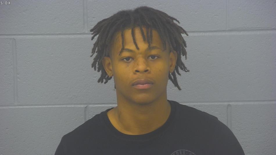 Arrest photo of DEVIN BROWN